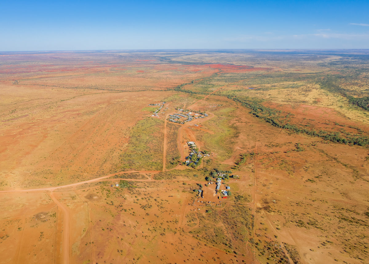 Wangkatjungka The Elusive Toni