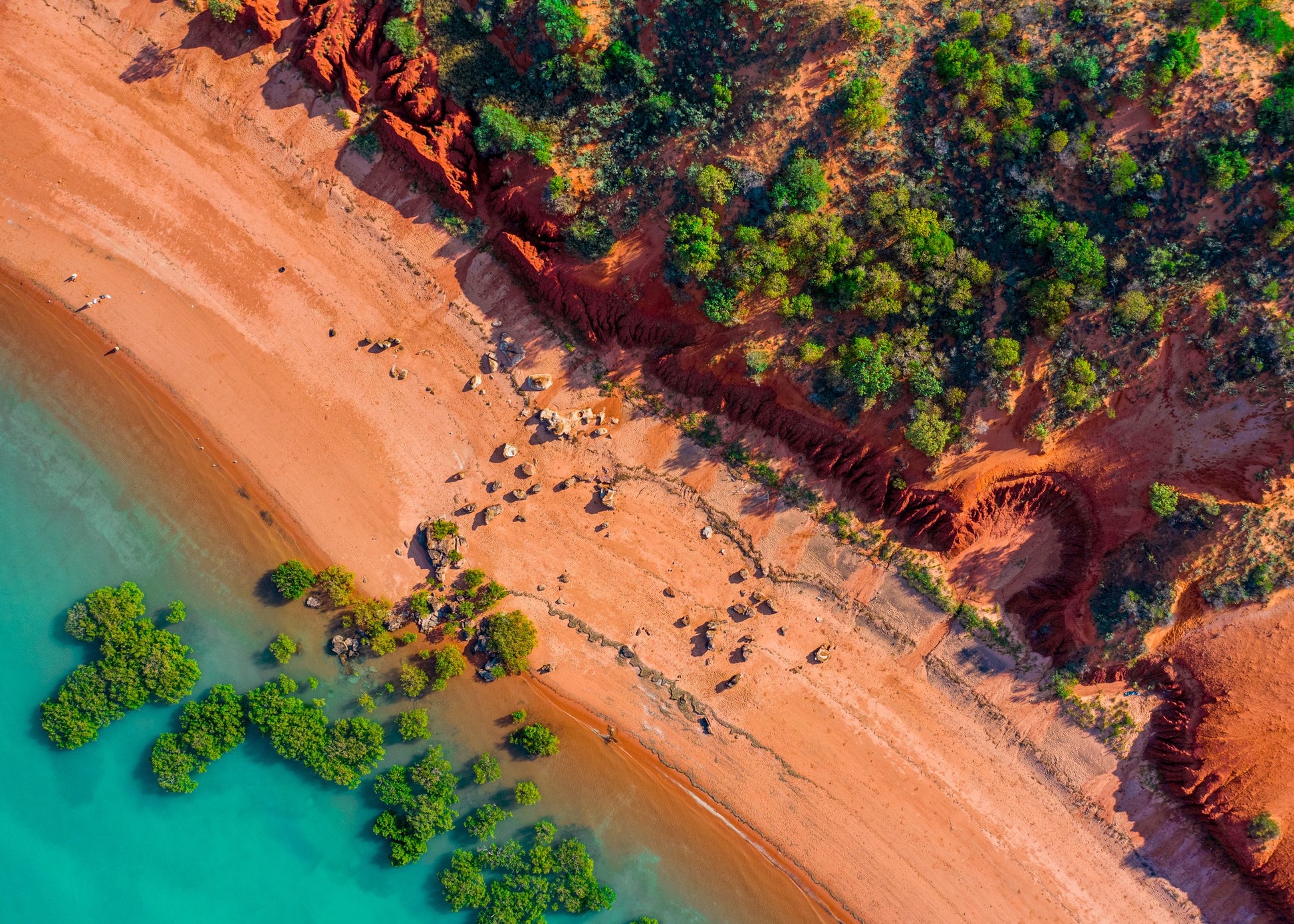 Roebuck Bay Cliffs