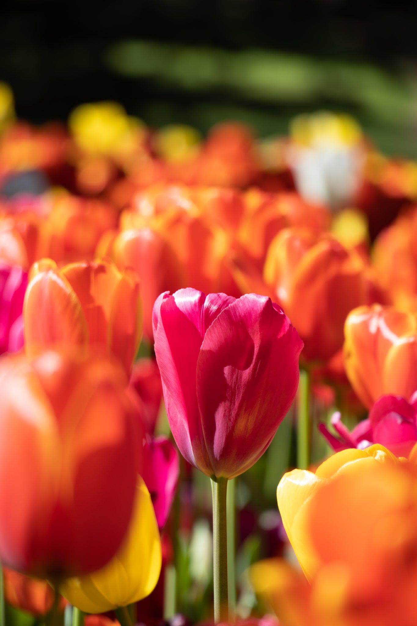 Stand out from the crowd